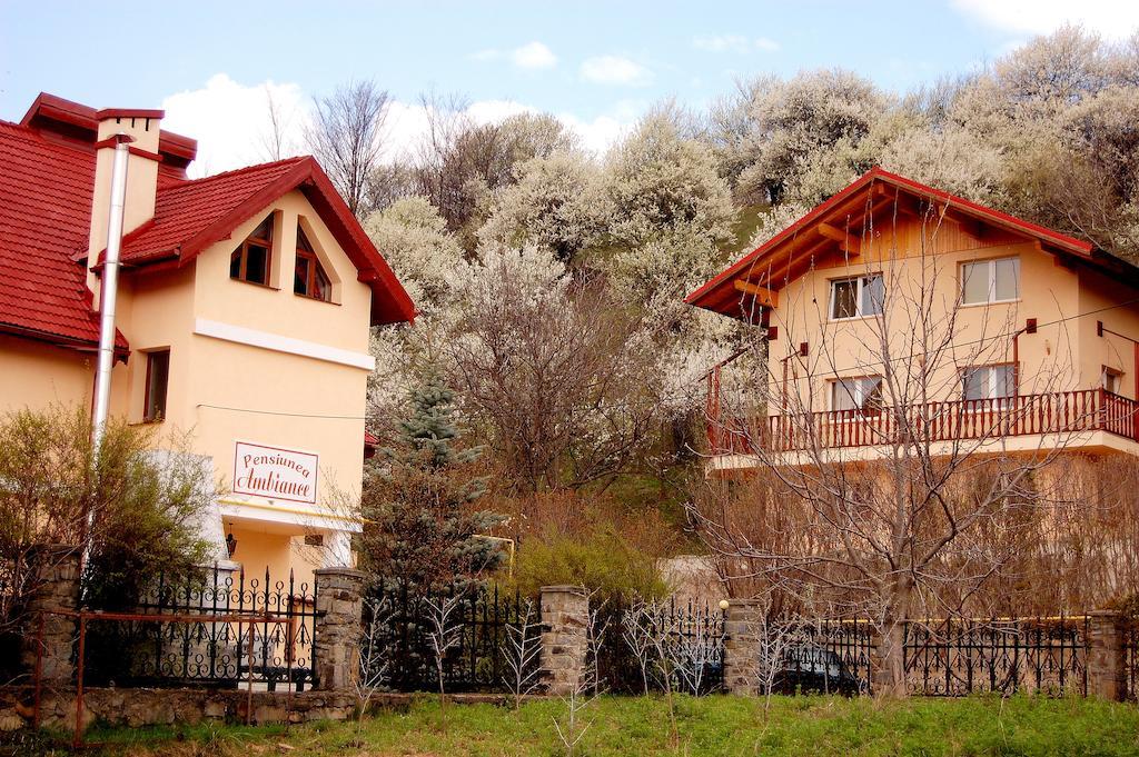 Pensiune Pensiunea Ambiance 3*